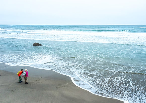 有家浜(洋野町)