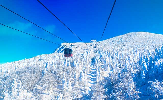 【最新】東日本おすすめのスキー場22選！各エリアの魅力をくわしく解説（別ウィンドウで開きます）