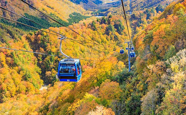 日本最長の苗場ドラゴンドラから見下ろす紅葉！絶景スポットやシーズンに最適な服装を紹介（別ウィンドウで開きます）