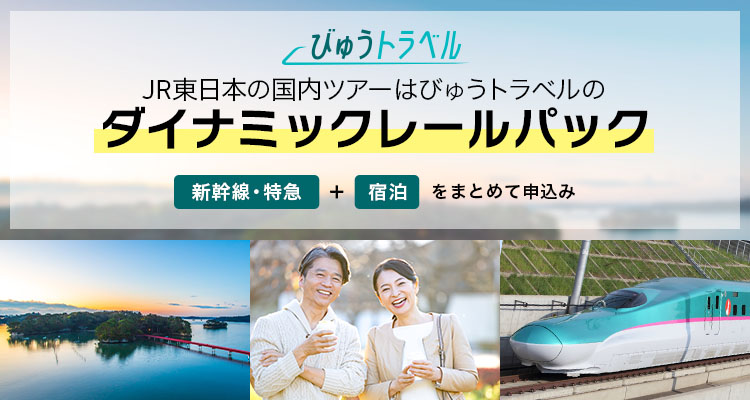 びゅうトラベル JR東日本の国内ツアーはびゅうトラベルのダイナミックレールパック「新幹線・特急」プラス「宿泊」をまとめて予約（別ウィンドウで開きます）